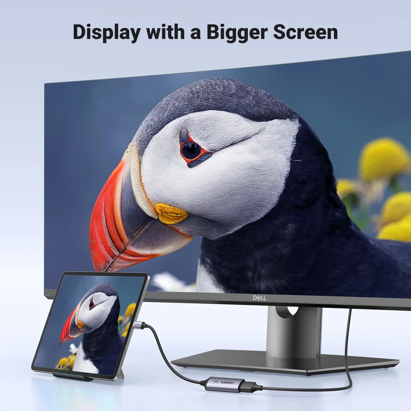 USB-C to 8K DisplayPort 1.4 Adapter Cable